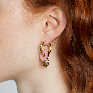 The Chameleon Hoops