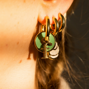 The Chameleon Hoops