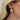 The Chameleon Hoops