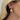 The Chameleon Hoops