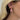 The Chameleon Hoops
