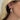 The Chameleon Hoops